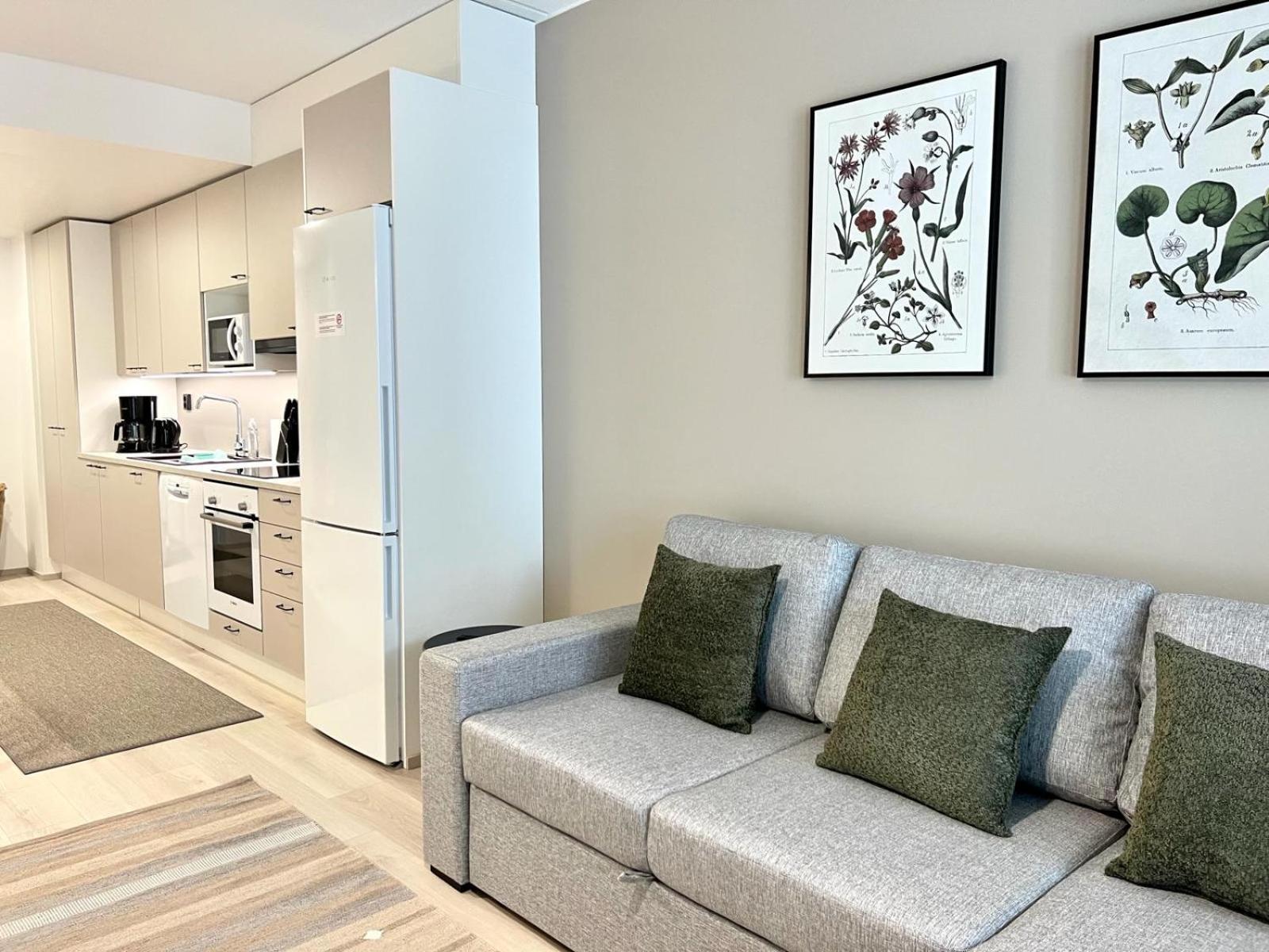 Kotimaailma Apartments Tervapaeaesky I Оулу Экстерьер фото